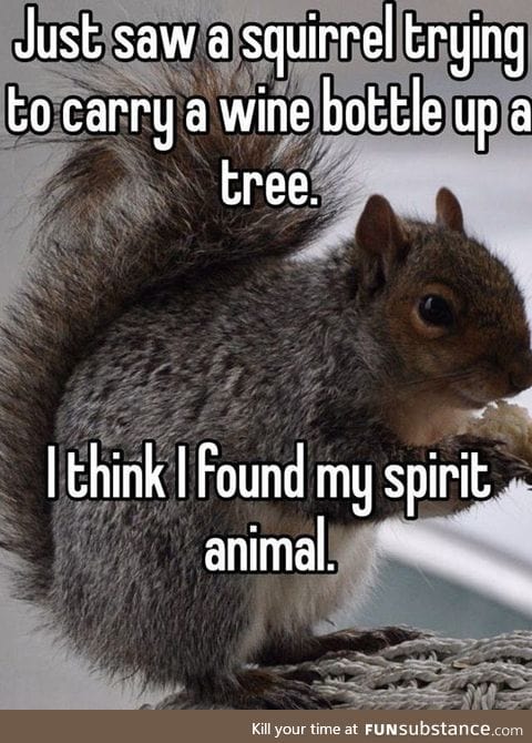 Wine bottle squirrel