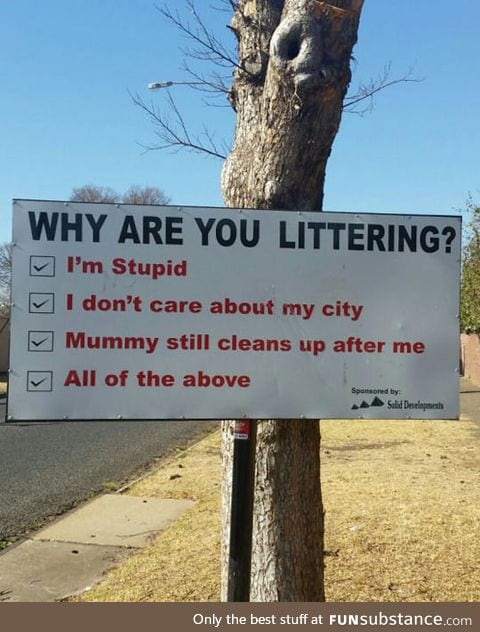 Reasons for littering