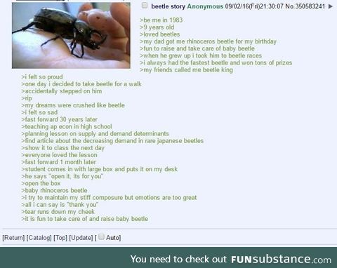 Baby beetles