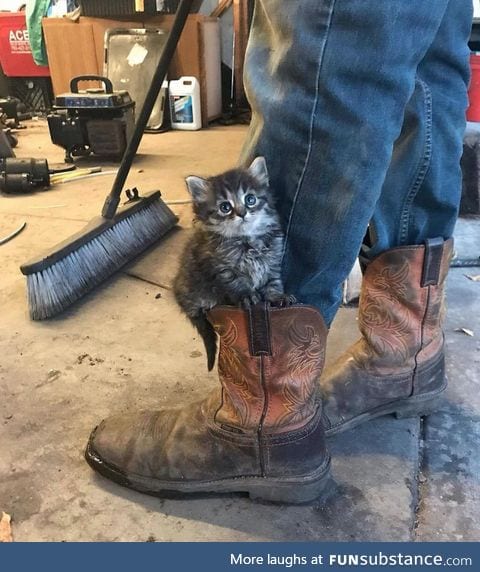 You always need a boot kitten