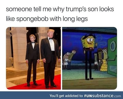 Long legs