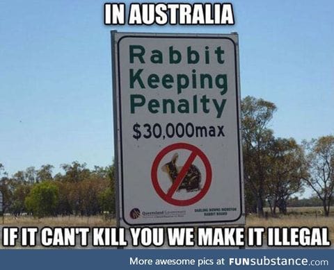 Australian laws