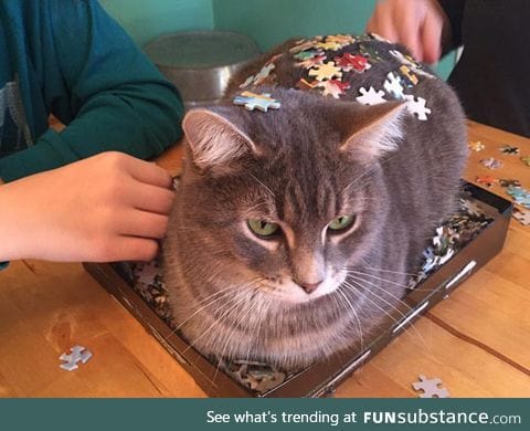 These 3d puzzles are so lifelike