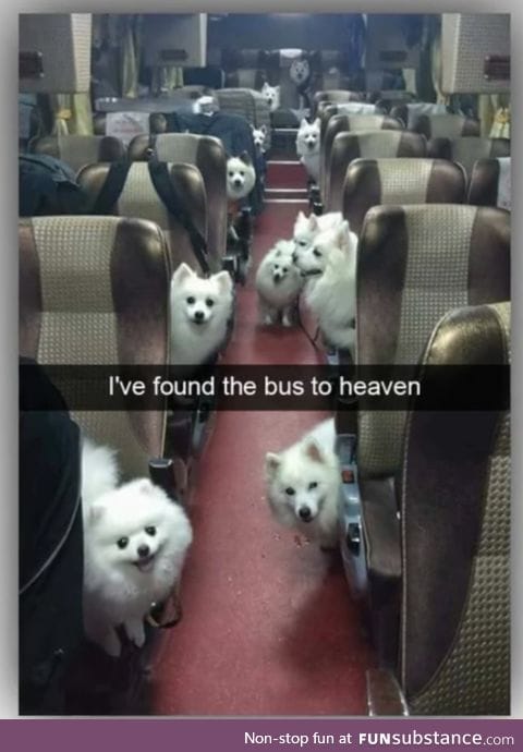 Bus to heaven