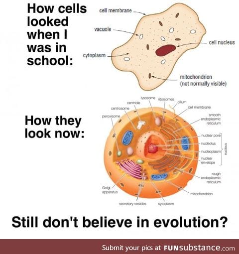 Cellular evolution