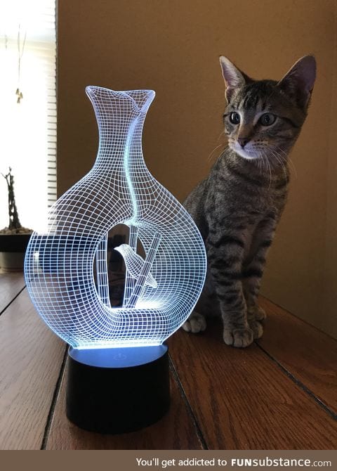 Hologram illusion lamp