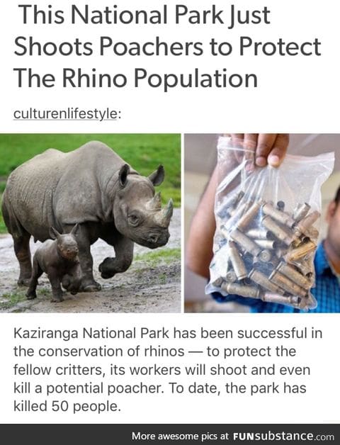 Killing poachers to save rhinos