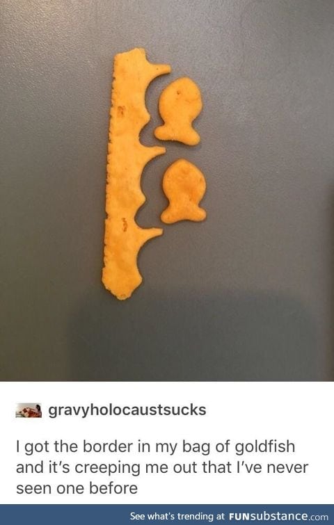 Wasting a lot of goldfish meat