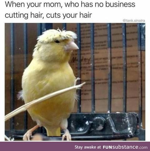 Mom has no other businesses
