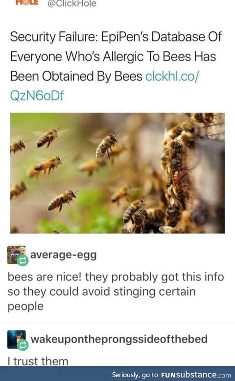 I trust the bees with my data