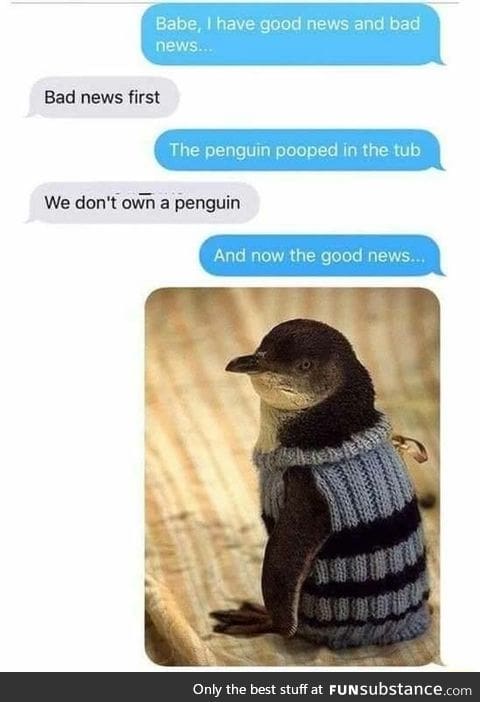 The penguin is going to die in there