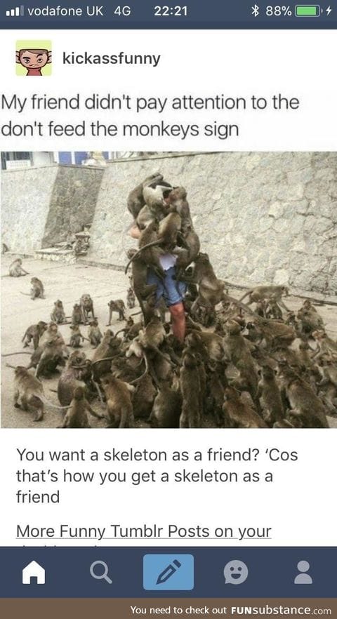 Monkeys will never be your friend