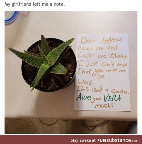 Aloe you vera much as well