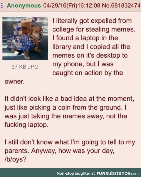 Anon got in trouble for stealing memes