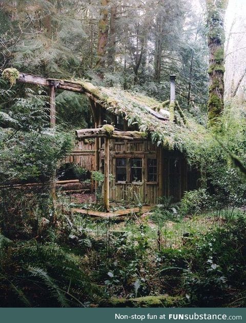 Forest cabin in Washington state