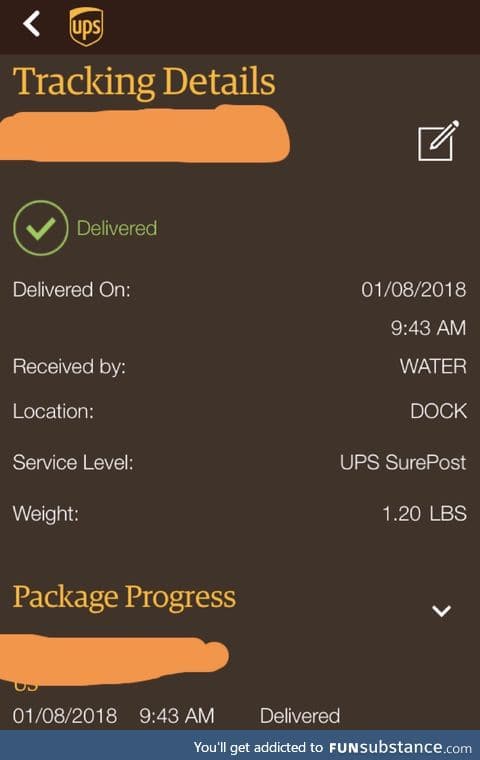 Did UPS just throw the package into a lake?