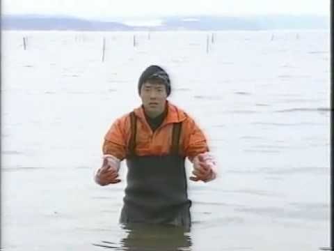 This video of a Japanese fisherman never fails to motivate me