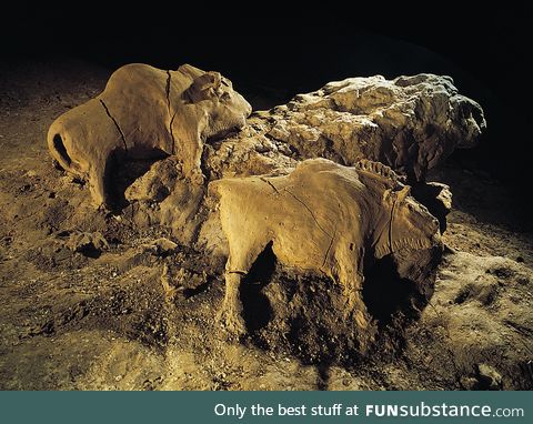 14000 years old bisons sculpture found in Le Tuc d'Audoubert cave, Ariege, France