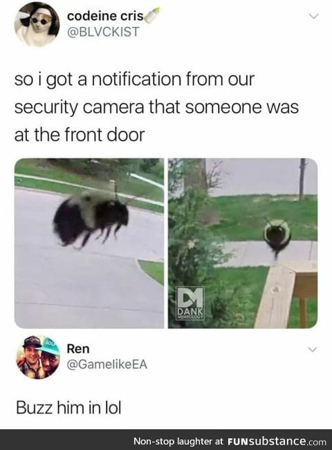 Excuse me sir, do you have a moment to talk about our lord and saviour, Beesus?