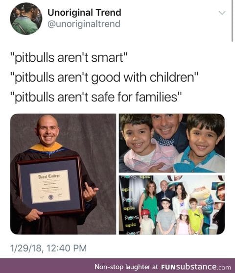 Pitbull is human too