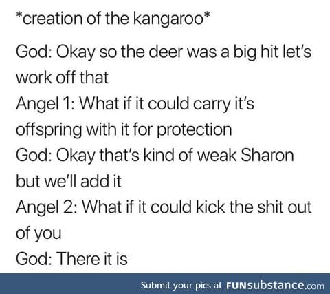 How the Kangaroo was made