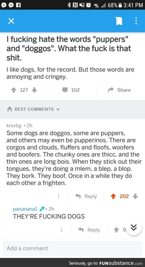 They are just dogs
