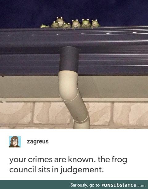 Punish you in the name of the frogs