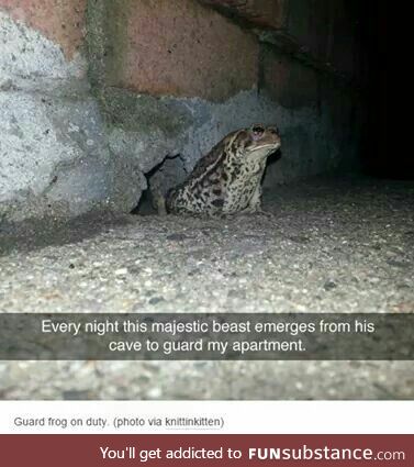 Guard frog.