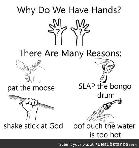 What do we have hands?
