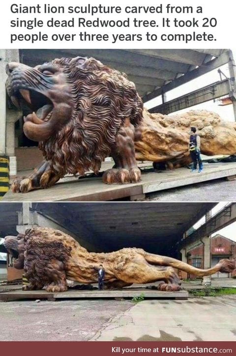 The giant lion sculpture from a Redwood tree