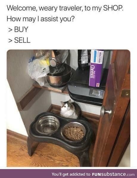 Khajiit has wares, if you have coin