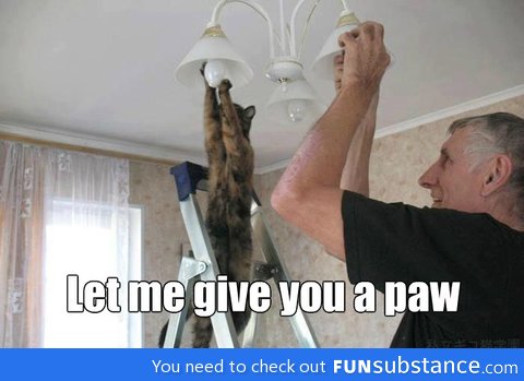 Let me give you a paw buddy