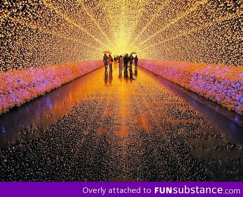 Light festival in japan