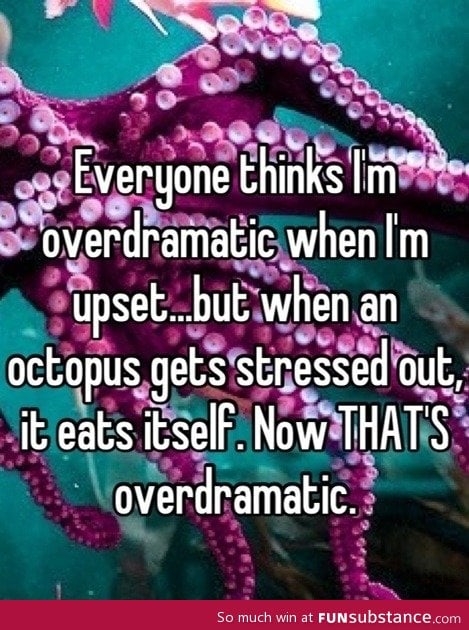 Octopuses are super dramatic