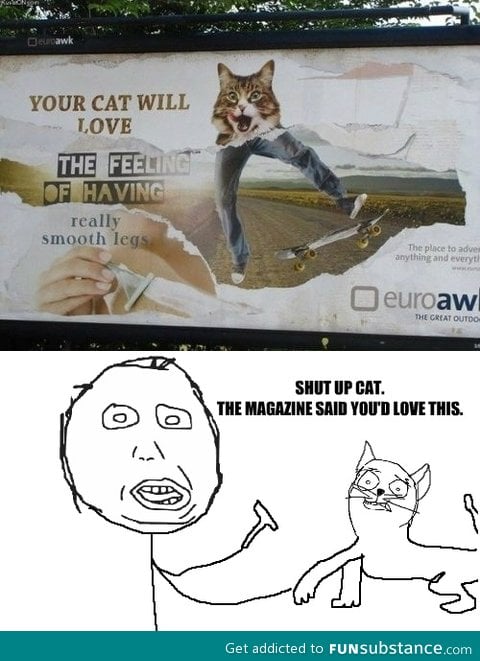 your cat will like it