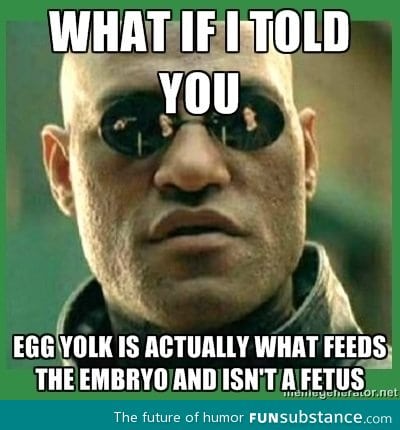 The egg yolk is not the fetus