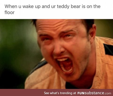 Poor teddy