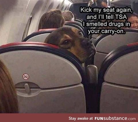 Kick my seat again