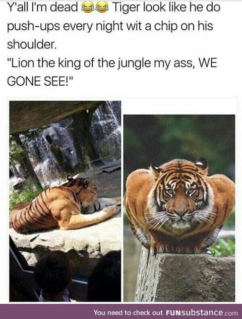 Tiger really looks like he's doing push ups lol.