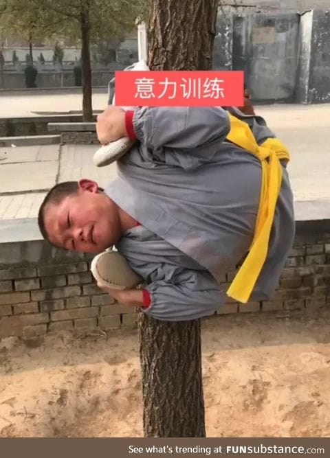 Shaolin training is hardcore