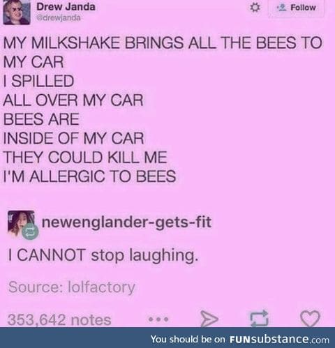 MY MILKSHAKE BRINGS ALL THE BEES TO MY CAR