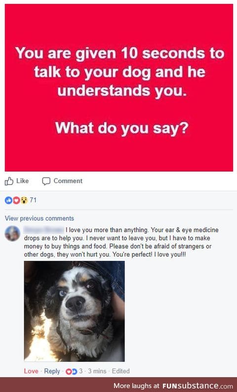 Message to Dog: The most wholesome thing I've ever f*cking read