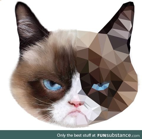 grumpy cat low poly art (OC)