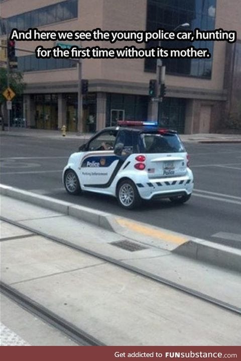 Young police car spotted