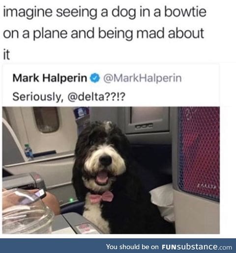 Kick him off the plane