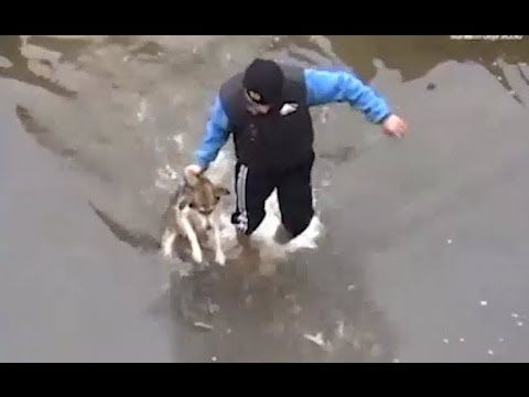 Drowning puppy can't contain its happiness after being rescued