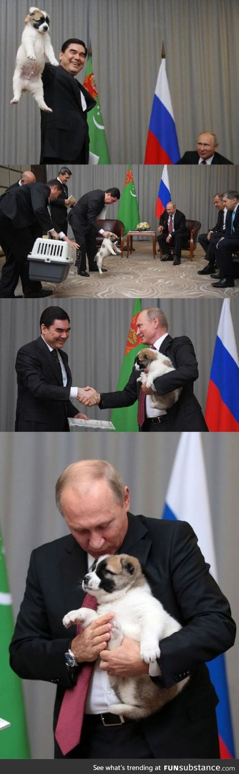 Dog lover putin gets a new puppy as a birthday gift from the turkmen leader