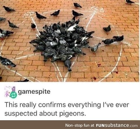 Pigeon ritual