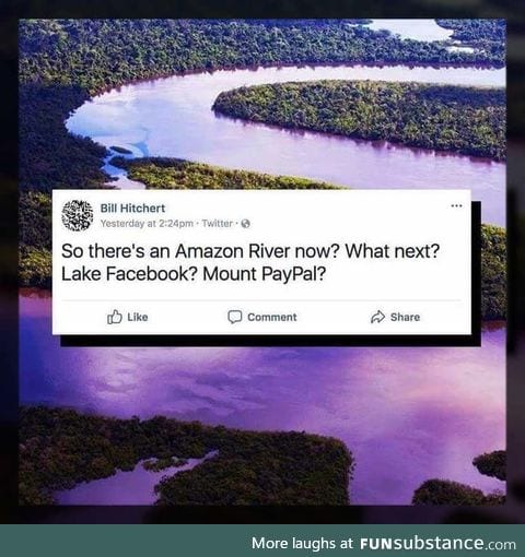 Amazon owns a river