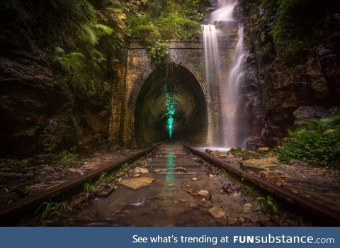 "glow worms", helensburgh, new south wales, australia